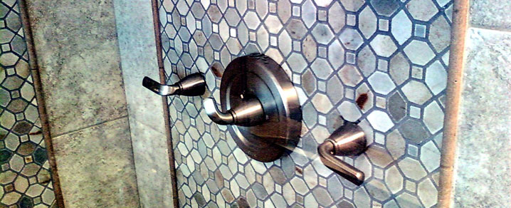 Shower Inset Mosaic Panel Detail Bedford MA